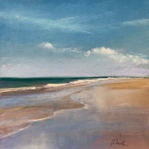 Summer Reflections