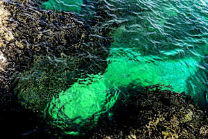 Green sea