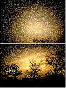 Starry starry yellow