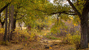 Fall at Hawrlack