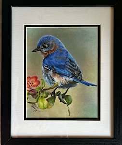 Bluebird on Peach Blossom
