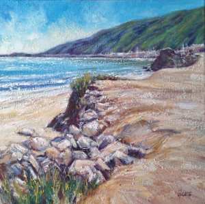 The Beach at San Luis Obispo