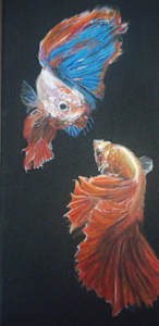Pisces