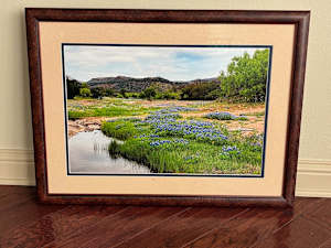 Ranch Road Creek Bluebonnets