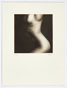 Piel VII