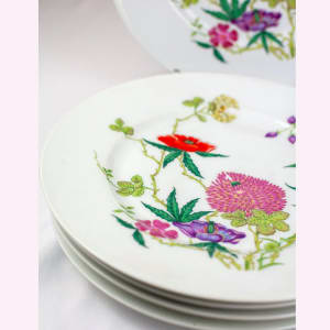 Ceralene A Raynaud Pavot Poppy Plates, Set of 10