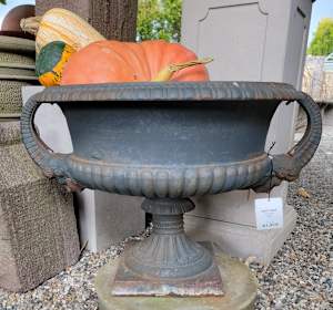 Iron Urn with Ram Horn Handles / Pair
