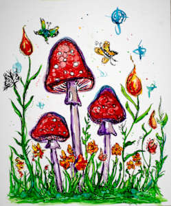 Magical Mushrooms