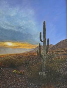 Saguaro Looking West