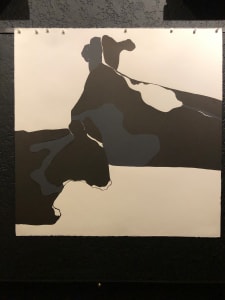 Cows