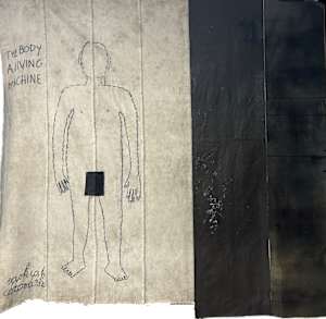 The body is a living machine