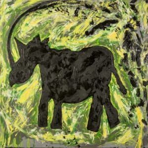 Critically Endangered Species