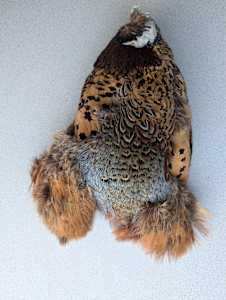 BIRDS OF A    FEATHER