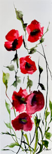 Etéreas amapolas