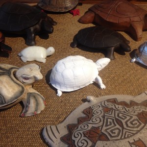 Collection of turtles | Coleção de tartarugas