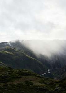 Misty Canyon
