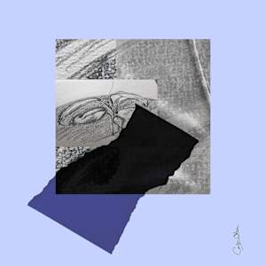 Plant Series 2: Masked Cavendish XII, Taped 1