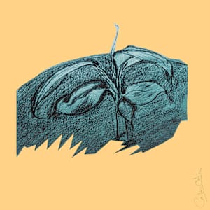 Plant Series 2: Masked Cavendish 12