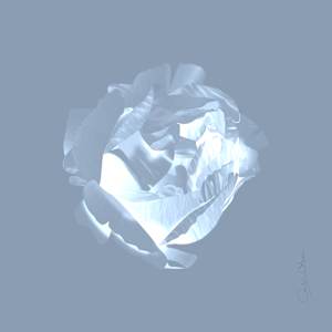 Peony Study II: Light of the World
