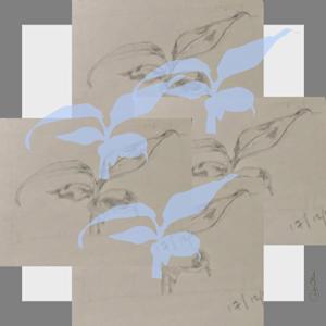 Plant Series 2: Masked Cavendish VI