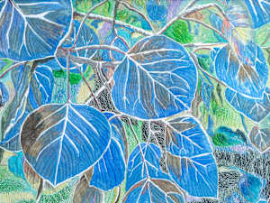 Blue Leaves