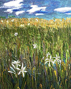 Cypress Marsh