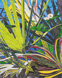 Fern Pond #1/5 Reproduction