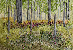 Florida Forest #1/5 Reproduction