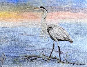 Heron Wading