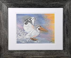 White Pelican Splashdown