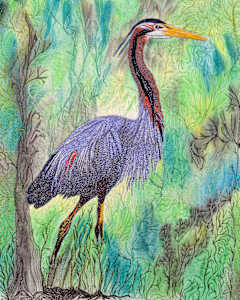 Purple, Purple Heron 8x10 Reproduction #12 of 15