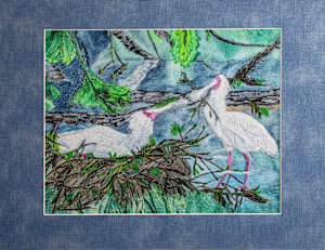Spoonbills Nesting #9/15 Reproduction