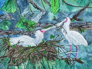 Spoonbills Nesting #7/15 Reproduction