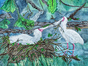 Spoonbills Nesting