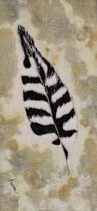 Woodpecker Feather