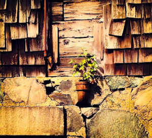 Charles River Speedway