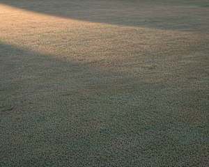 Golf Course 23