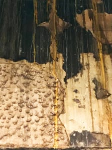 Decay 4