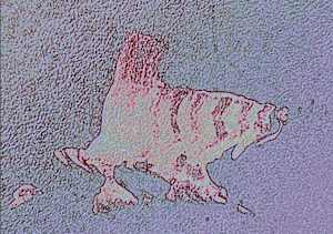 Chicken Fish (magenta/violet)