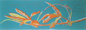 Passionflower Vine (copy)