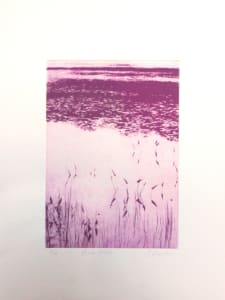 Pink Pond 1/2