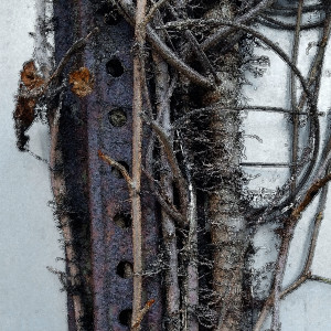 Steel Vines 1A