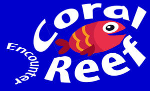 Coral Critters Competition
