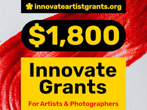 🍁 FALL  * $1,800.00 Innovate Grants for Art + Photo