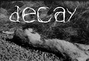 Decay, guest Curated by Izzy Dunn, UW Museology