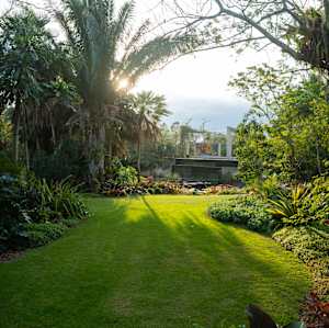 Naples Botanical Garden Creative Residency