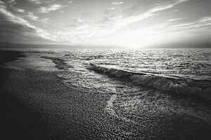 Black and White: 2026