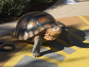 Animal Discovery Sundial -Tortoise