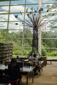 Beneath the Ogirishi Tree: The Journey Projects at Wolf Creek Library