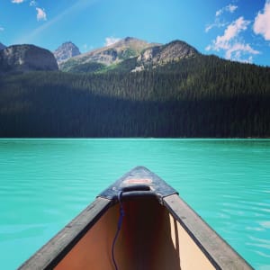 Crisp Summers in Louise